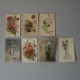 CPA motif de fleurs un Lot de 7 cartes