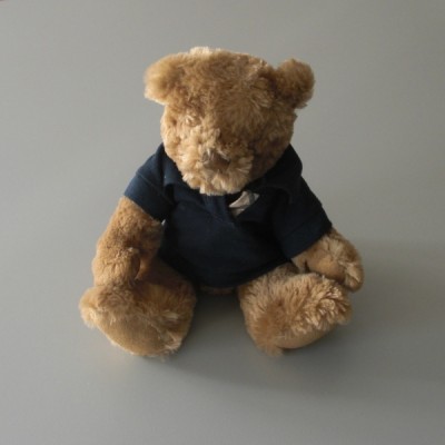 peluche burberry